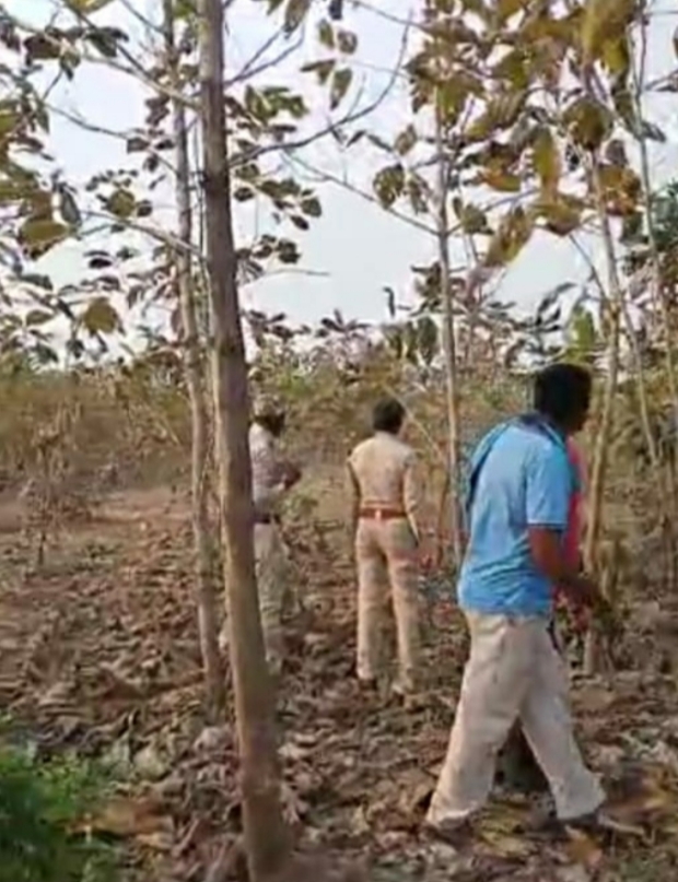 Wild forest buffalo seen in Ghoramar village of Takhat