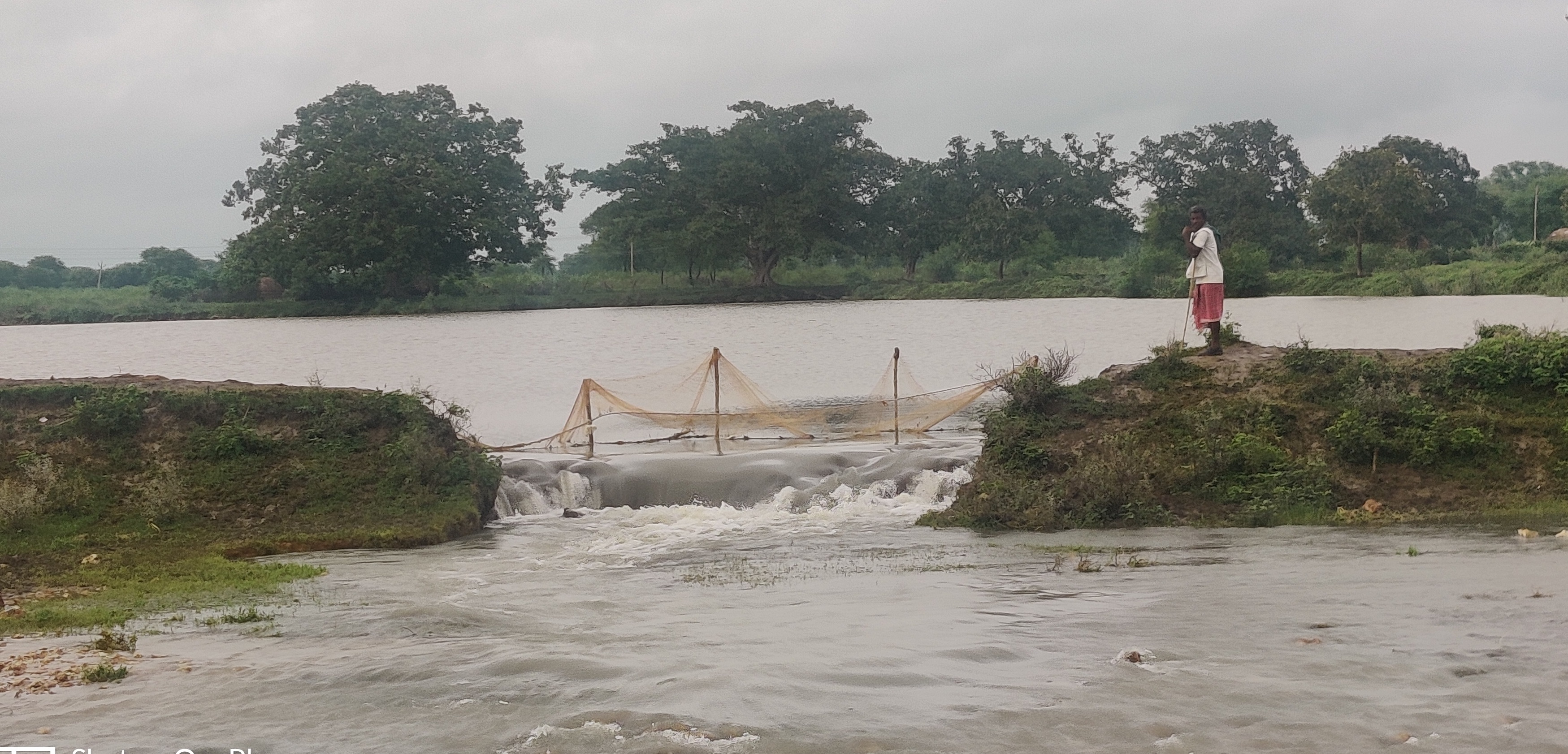 SDM takes meeting of officials due to continuous rains in Bemetra