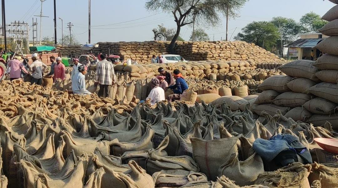 Transport of paddy has not started due to lack of gunny bags in paddy procurement centers in bemetara