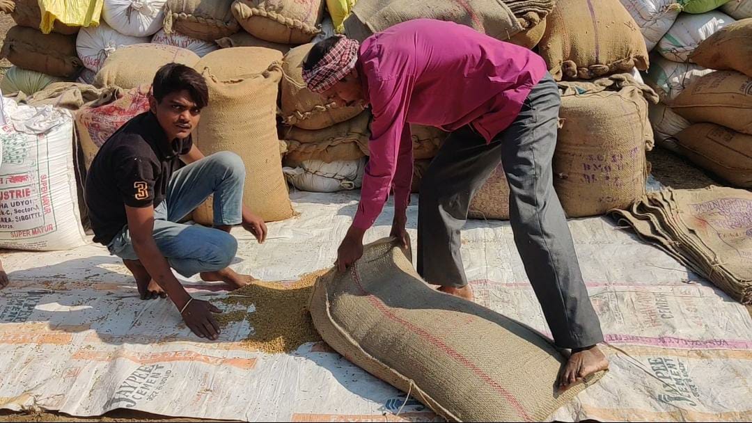 Paddy purchase started in Bemetra