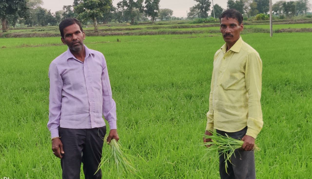 Bemetara has been declared an IFFCO district