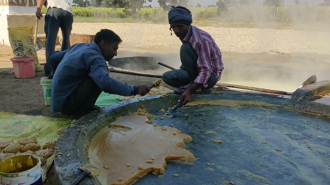 jaggery production