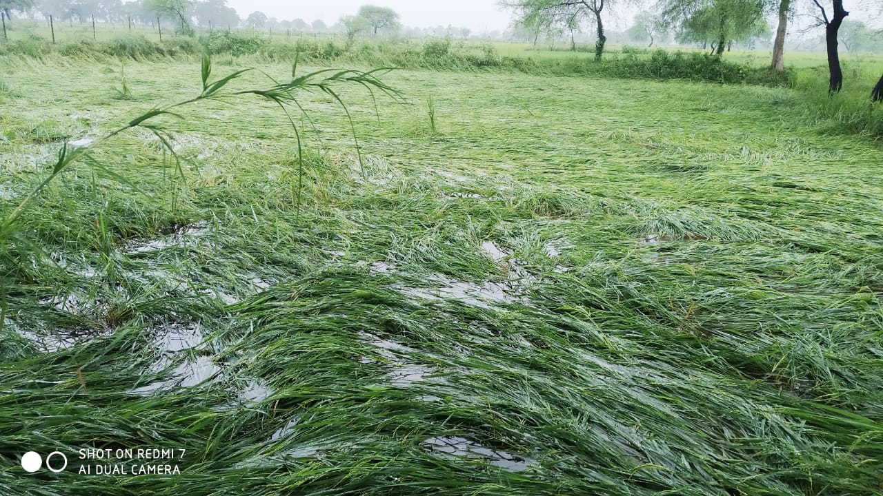 agricultural-chemist-shops-will-open-in-bemetara