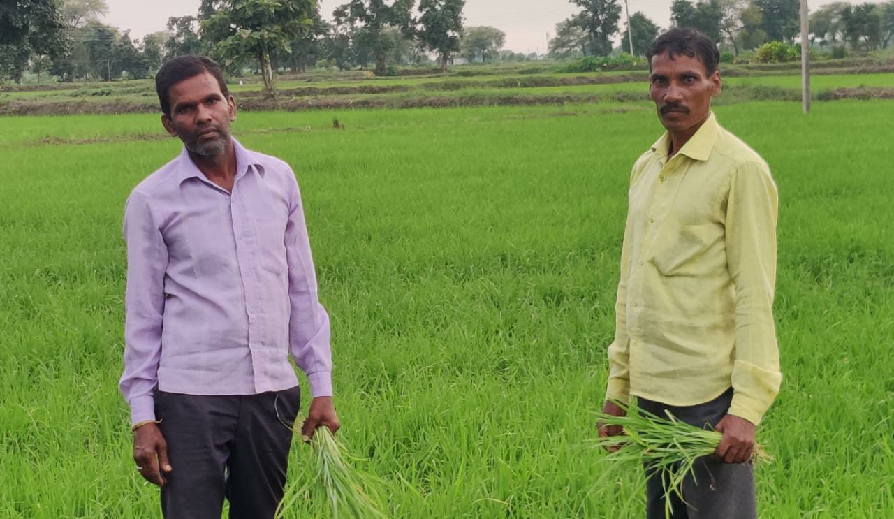 bemetara farmers news