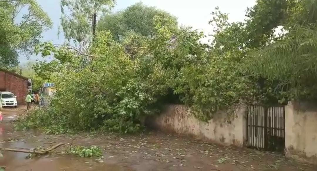 unseasonable rainfall hail and hurricane in bemetara