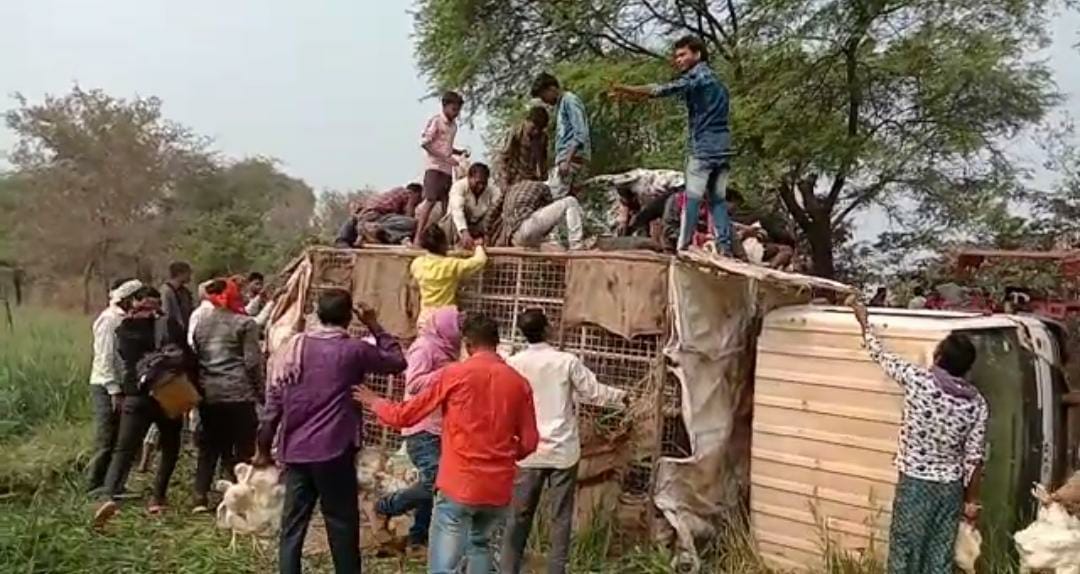 people are looted hens after truck full of hens overturn in bemetara