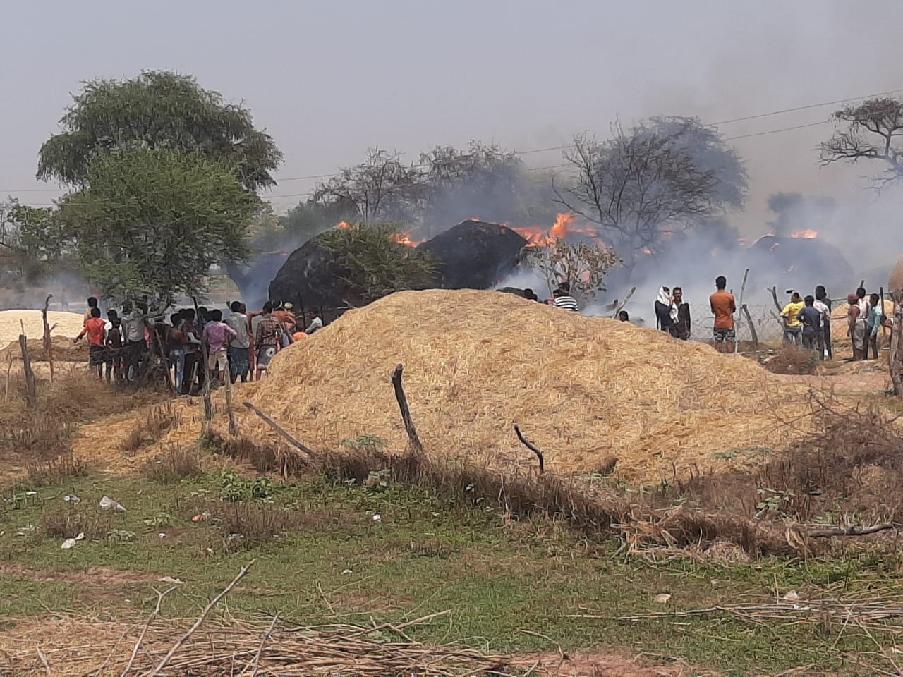 sixty-acres-of-wheat-crop-burnt-due-to-fire-in-bemetra