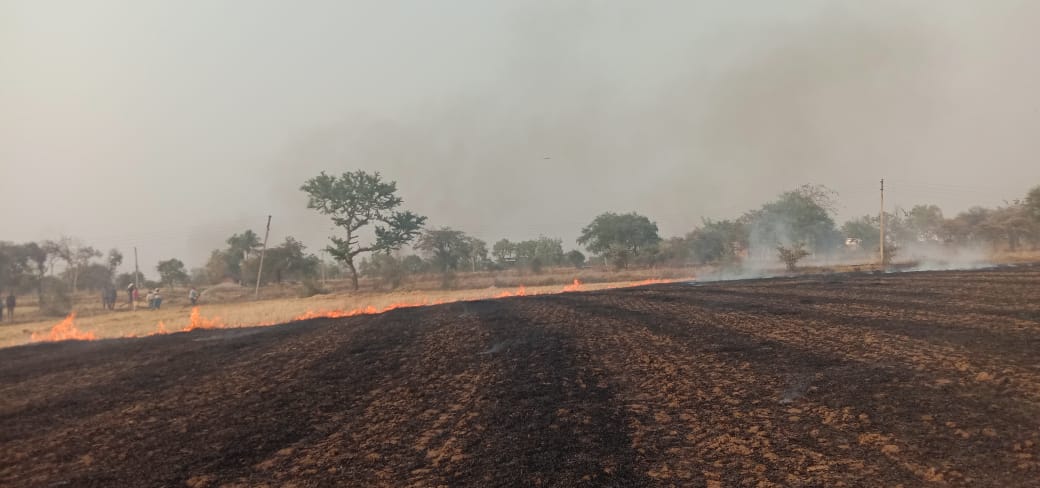 sixty-acres-of-wheat-crop-burnt-due-to-fire-in-bemetra