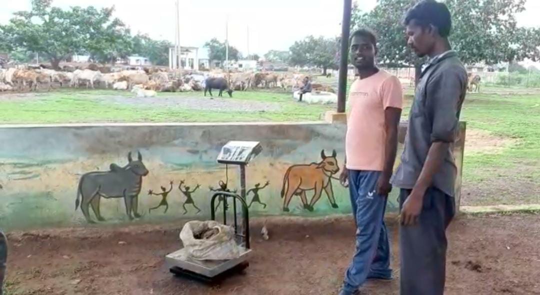 cow dung purchased under Godan Nyaya Yojana