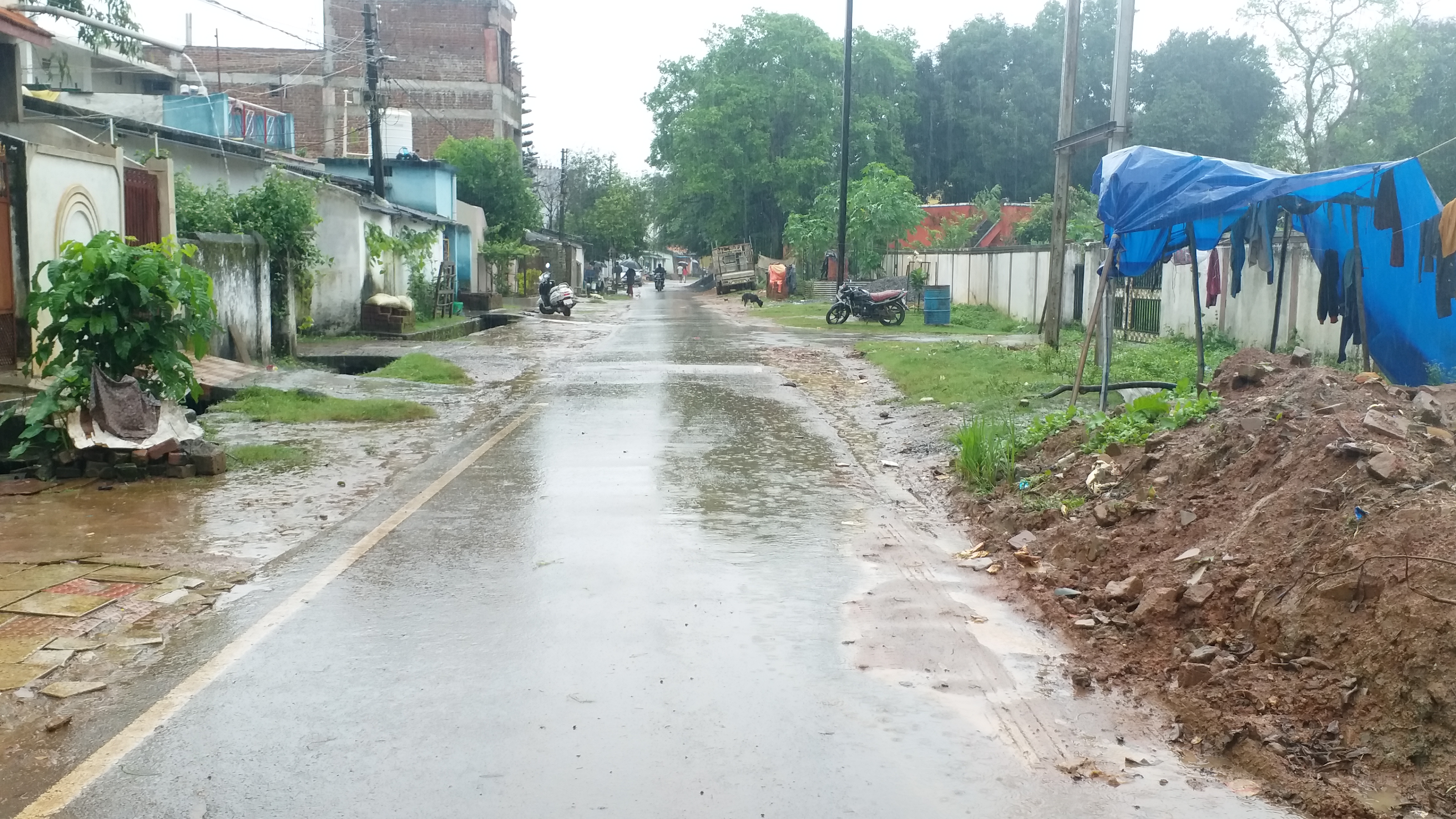 effect-of-gulab-cyclone-in-bastar-rain-with-strong-winds-in-bastar-rain-in-jagdalpur-effect-of-gulab-cyclone-in-chhattisgarh