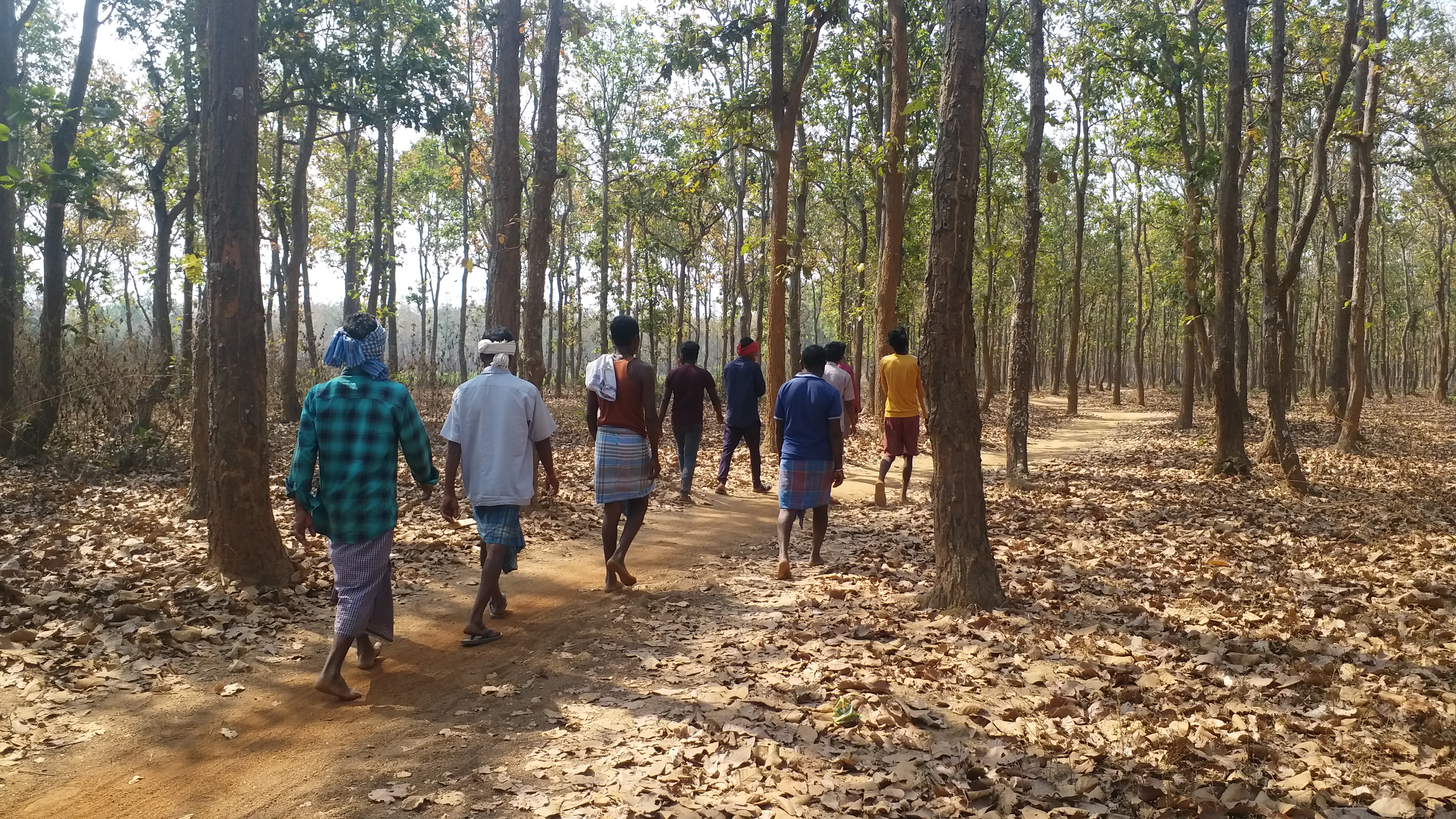 Story of worshiping rural Sal forest of Bhatiguda village of Bastar