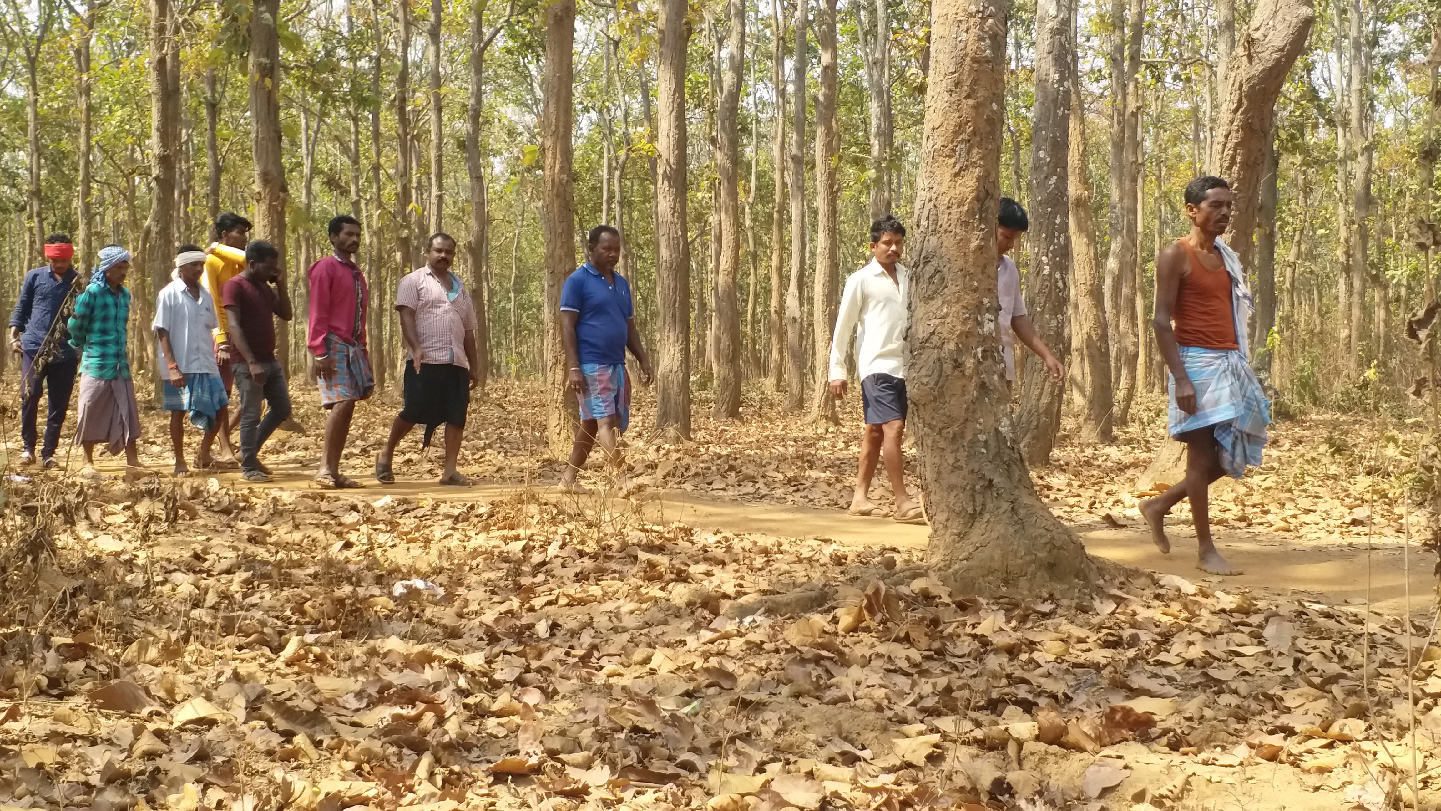 Story of worshiping rural Sal forest of Bhatiguda village of Bastar