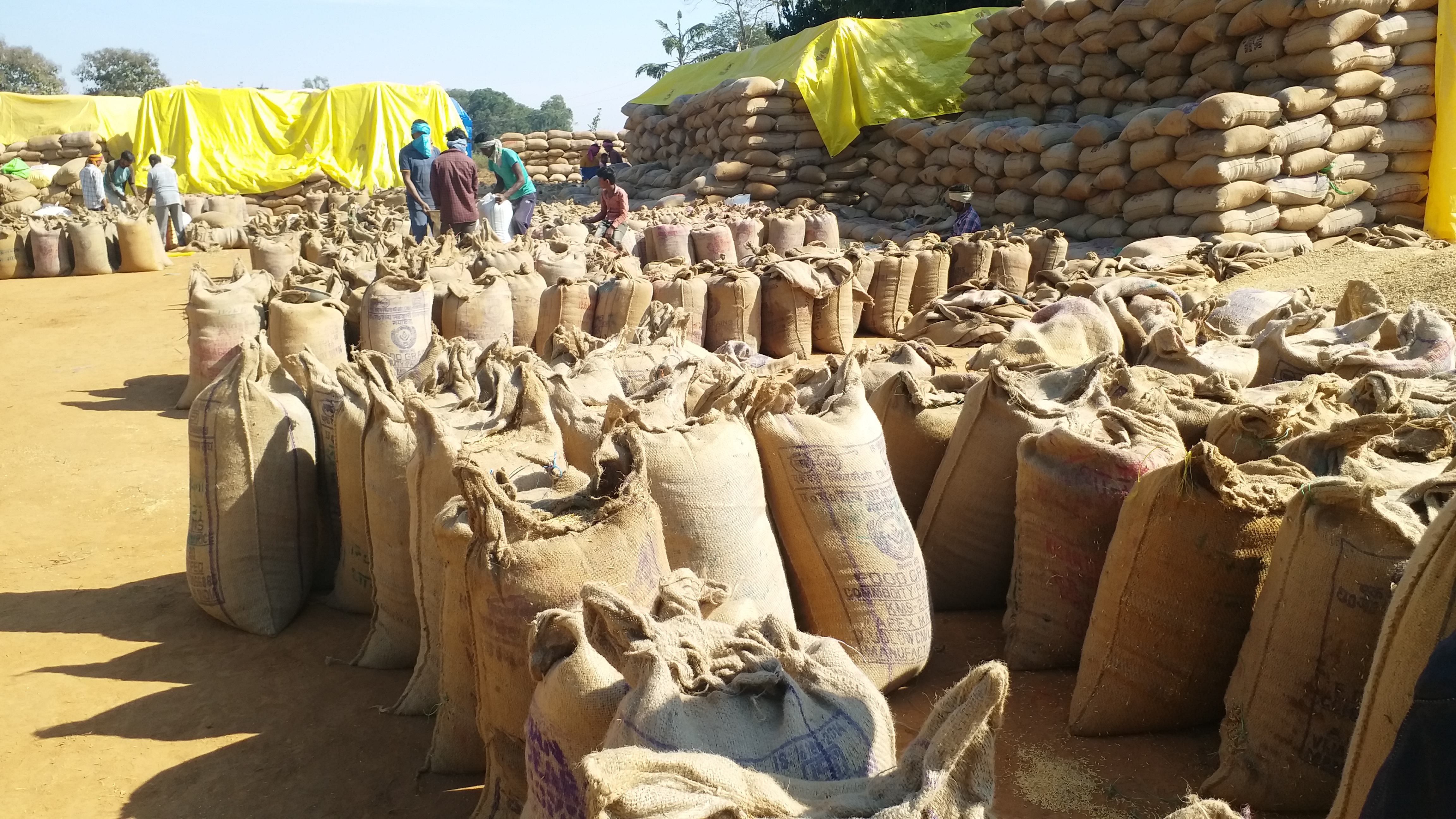 Paddy jam situation may occur in Jagdalpur