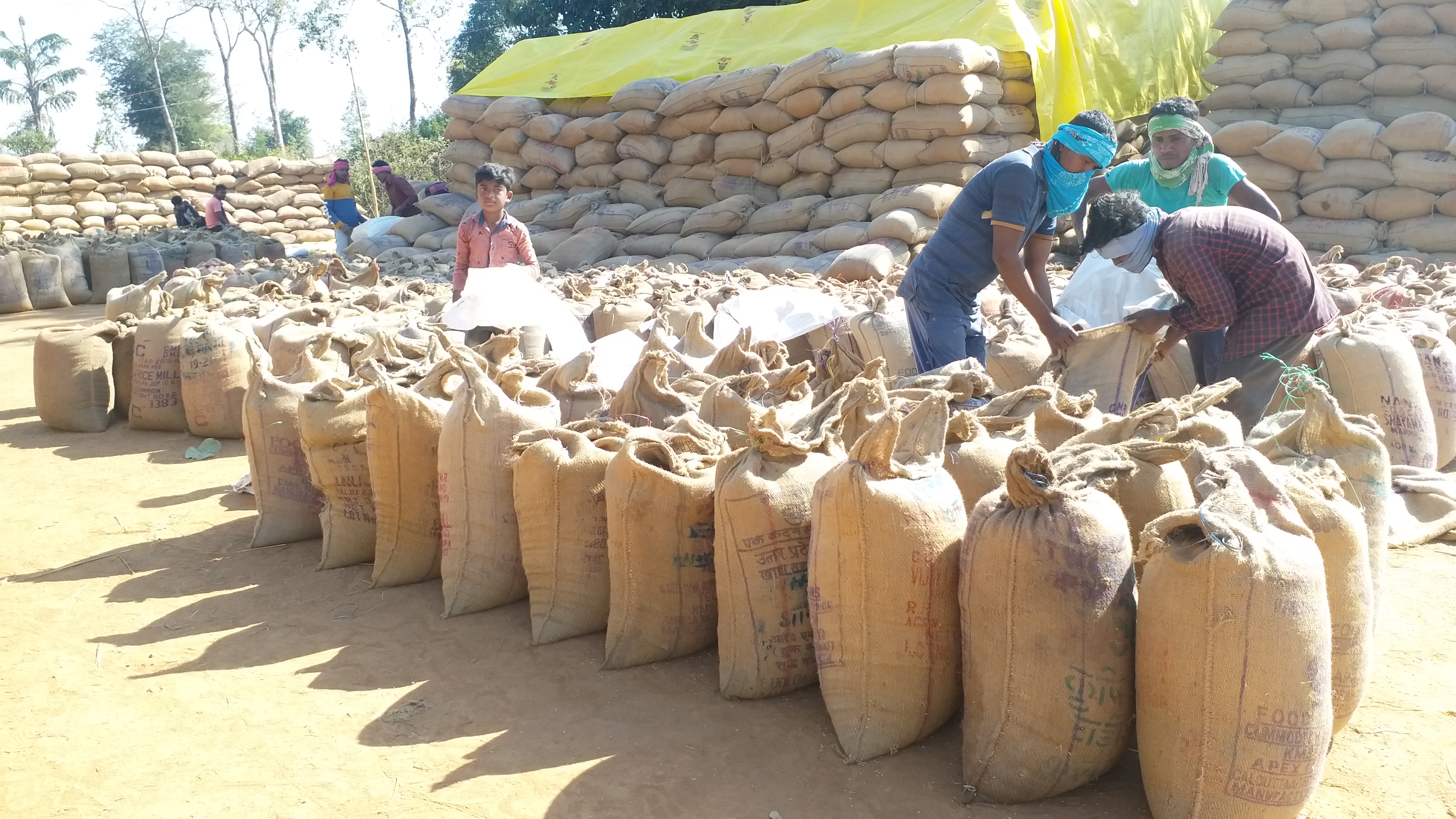 Paddy jam situation may occur in Jagdalpur