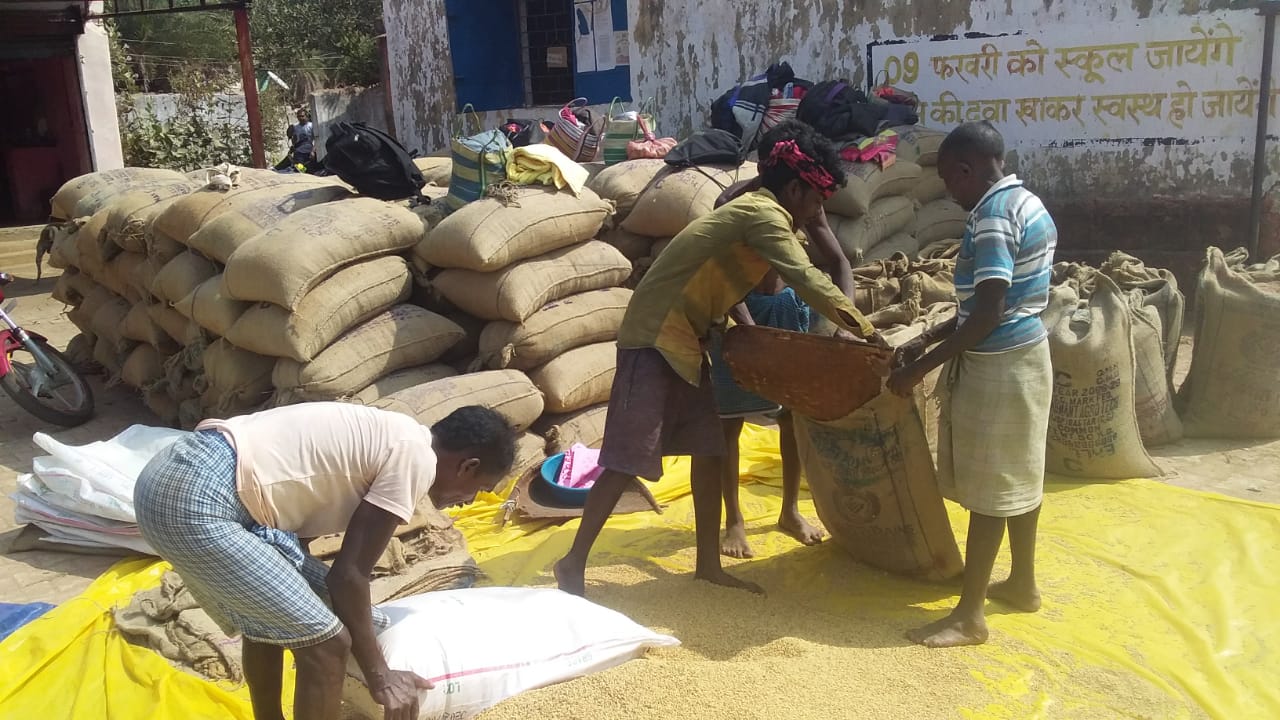 More paddy purchased in Dantewada this year