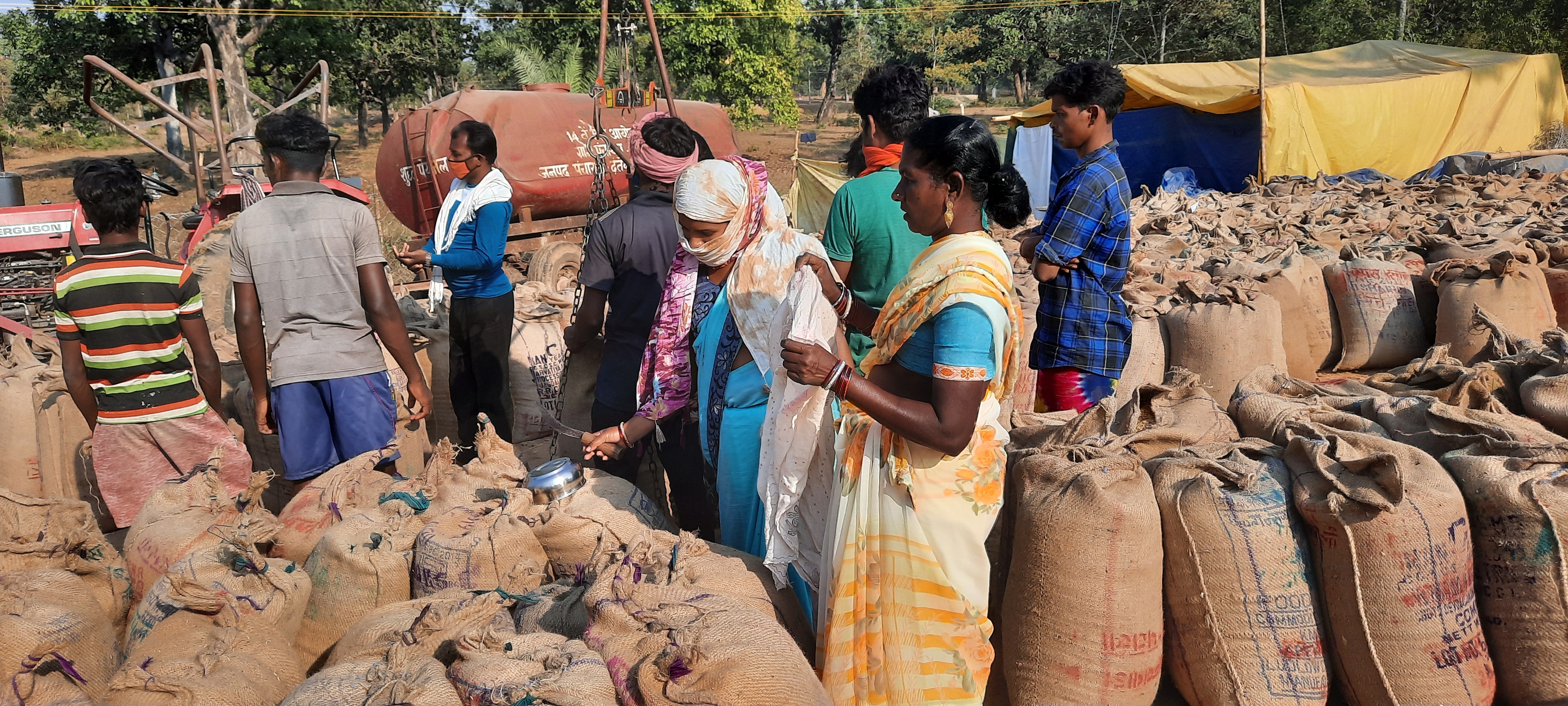 Farmers happy with arrangement in paddy procurement centers IN dantewada