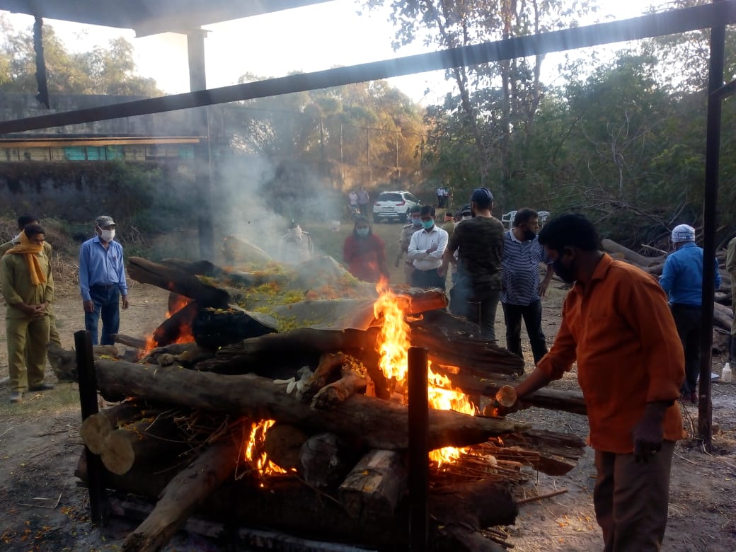 tigress-killed-in-maitri-GARDEN-zoo-of-bhilai-nagar