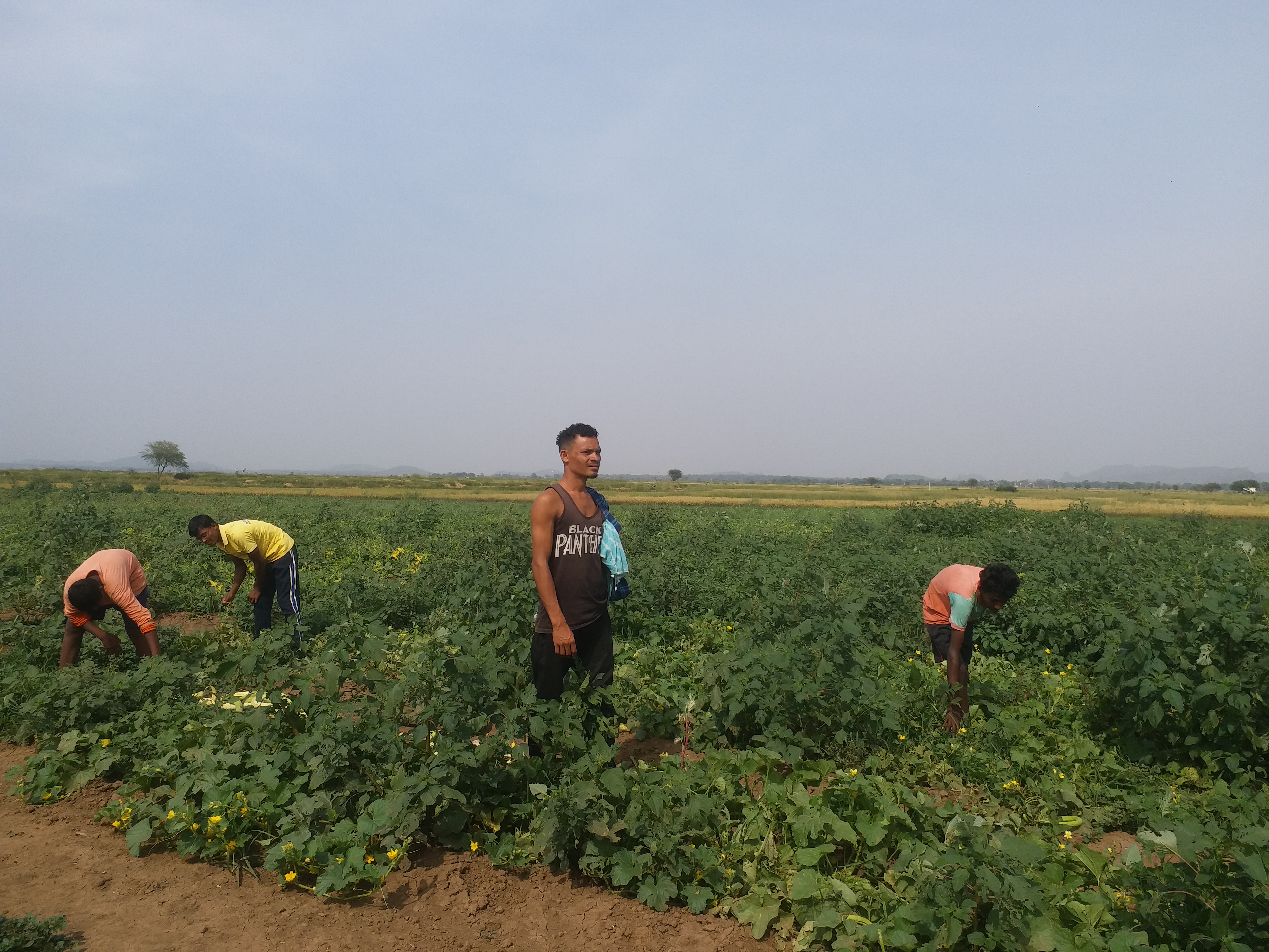 Farmers are unable to sell their crops in dhamtari