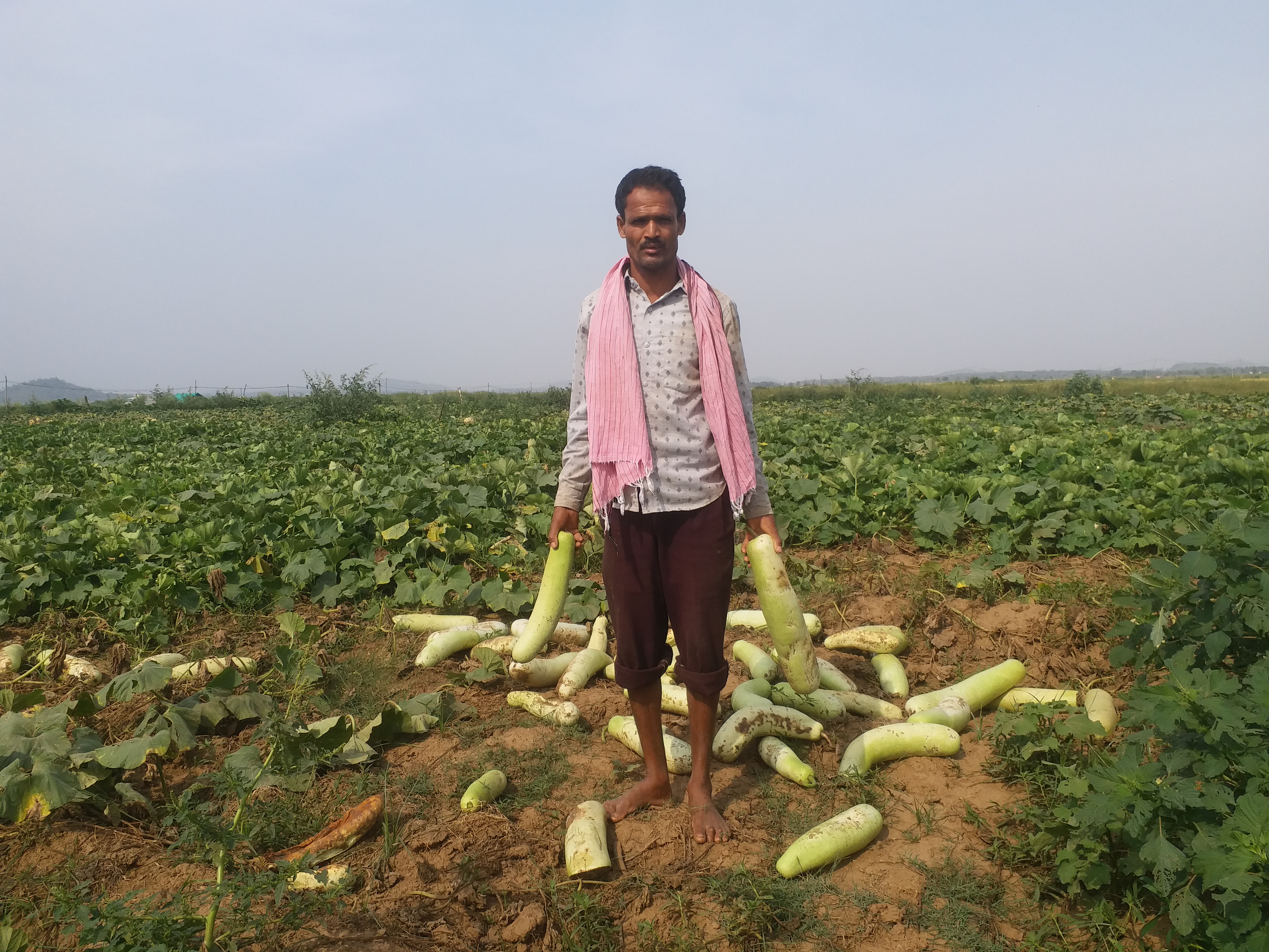 Farmers are unable to sell their crops in dhamtari