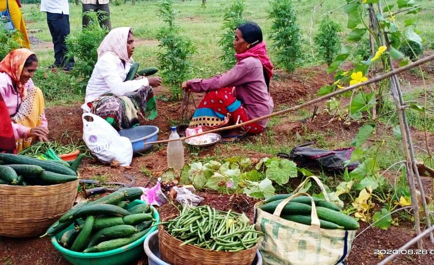 women-of-self-help-group-are-becoming-self-sufficient-by-cultivating-flowers-in-bhatgaon-of-dhamtari-district