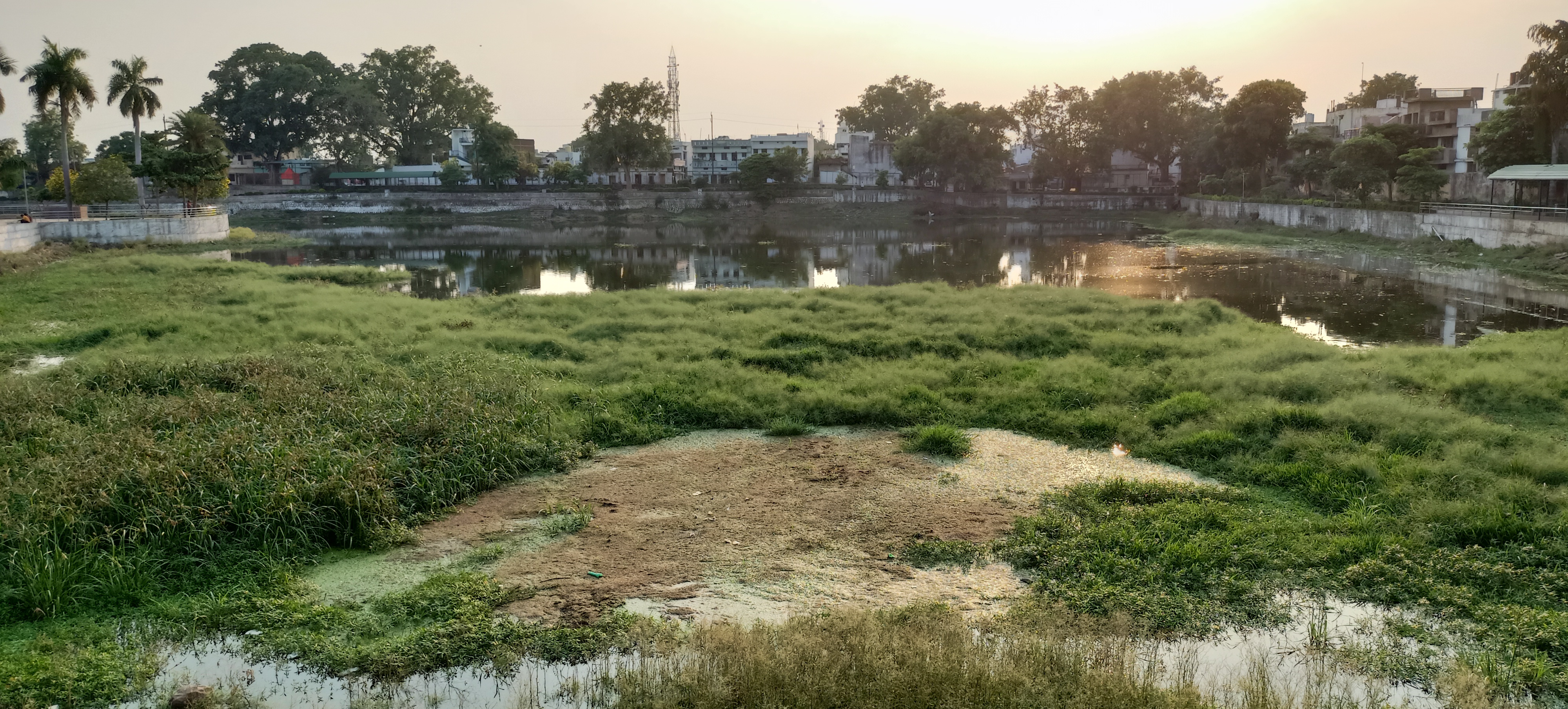 City ponds have dried up at dhamtari