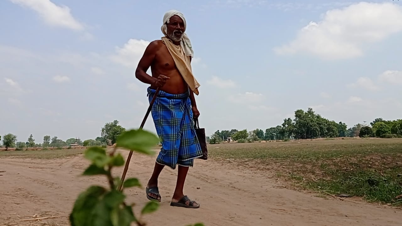 tree lover Bhaiya Ram Patel of Penderwani village of Dhamtari district