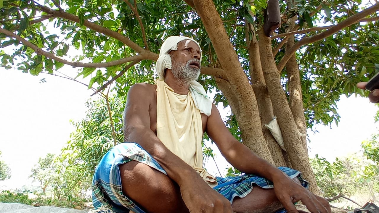 tree lover Bhaiya Ram Patel of Penderwani village of Dhamtari district