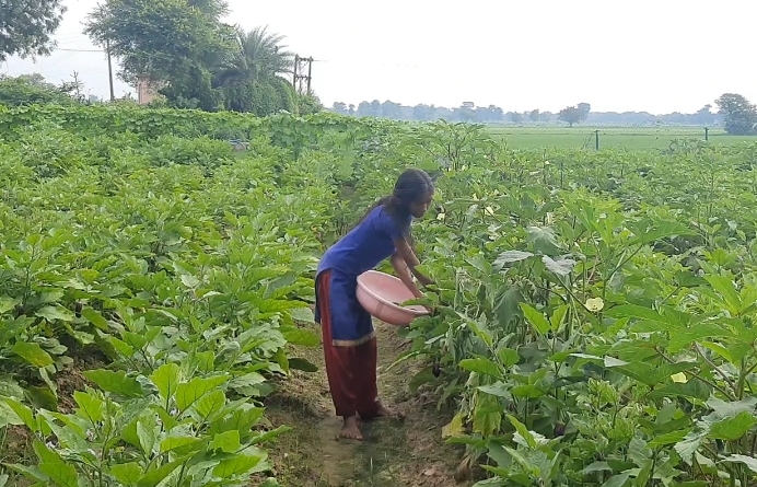 Kalpana working on the fields