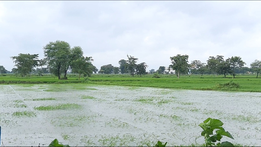 Culvert  Broken due to heavy rain in Kurud