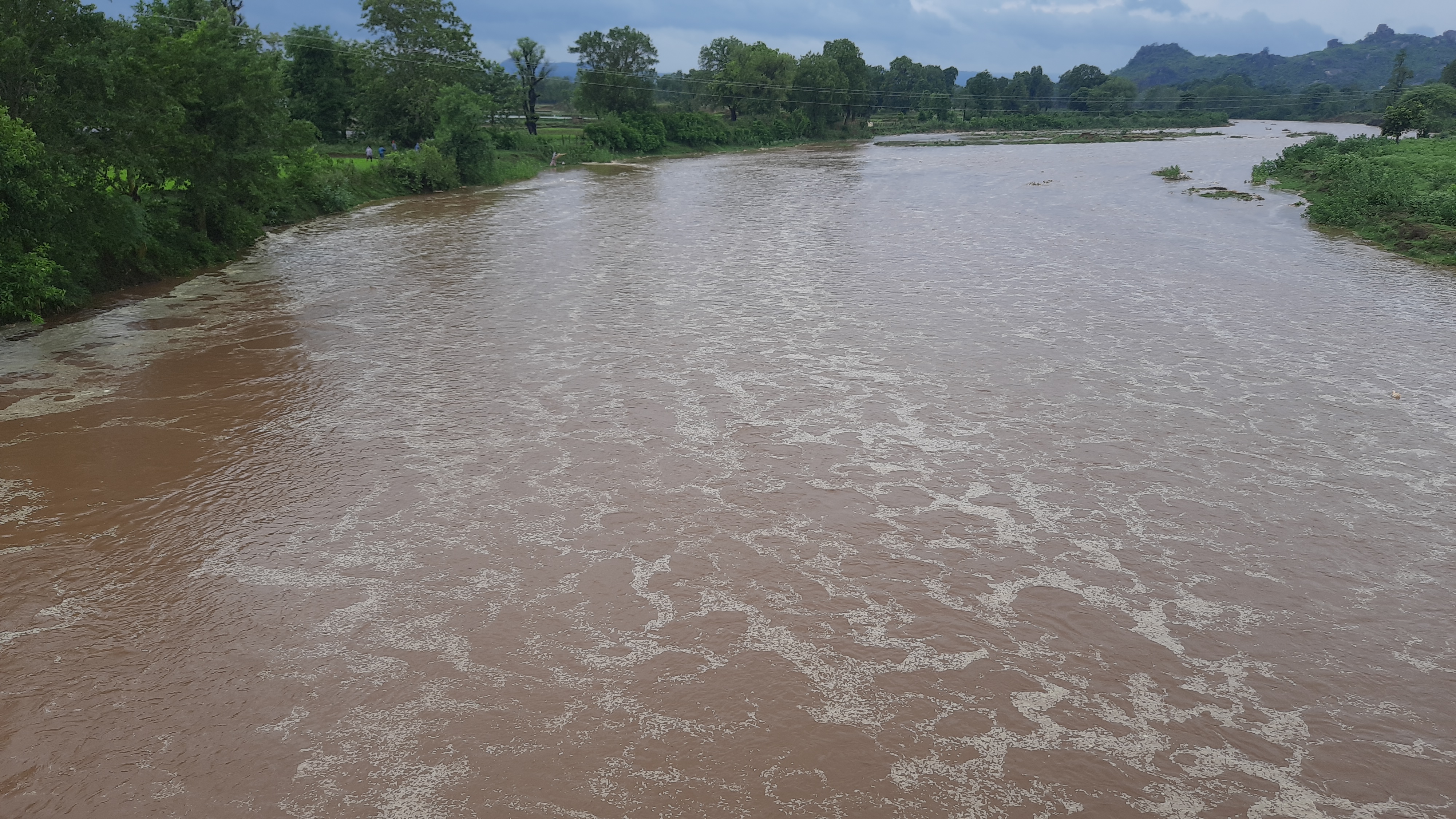 River flood in dhamtari