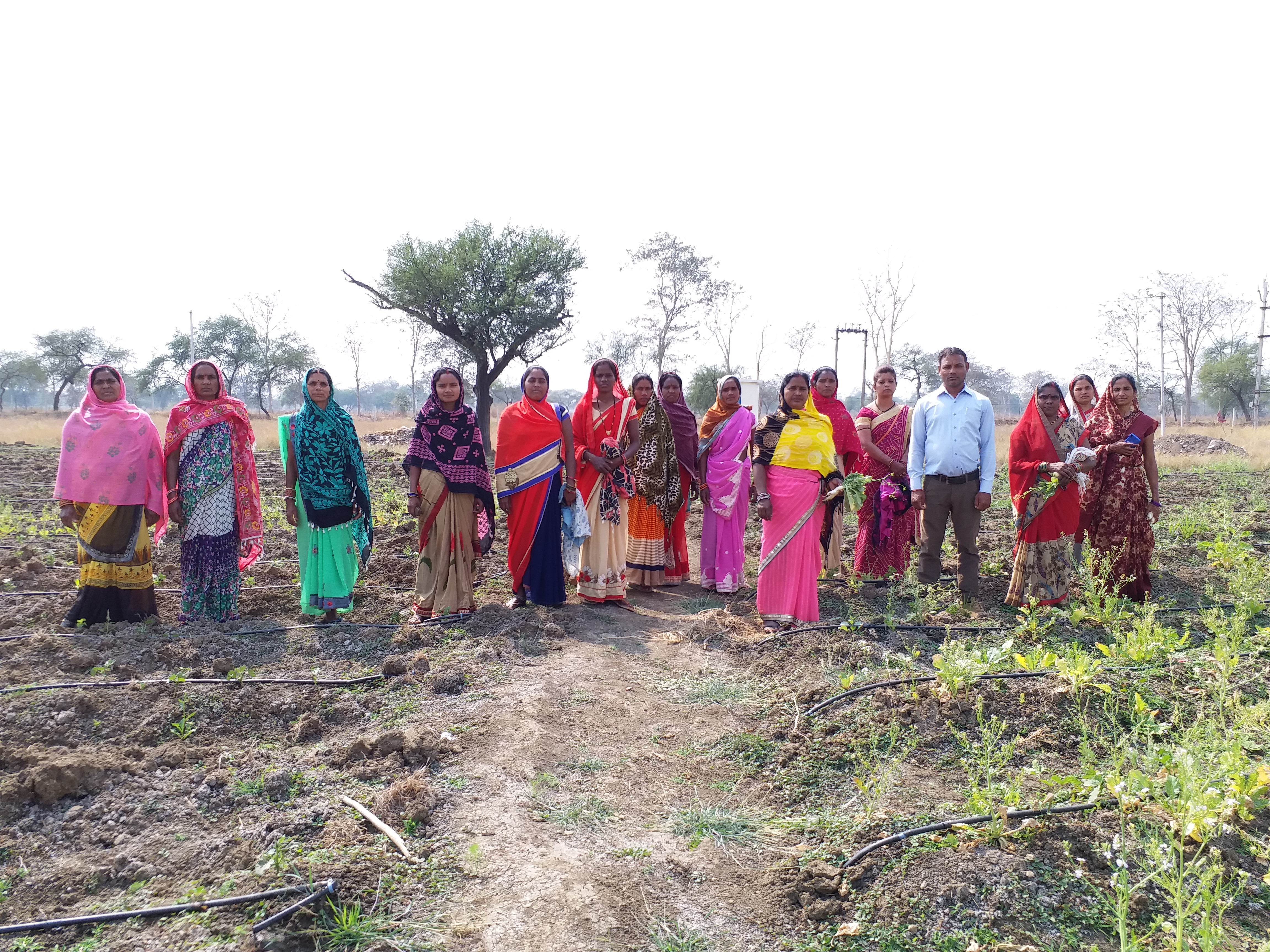 In Machandur Gram Panchayat of Durg district women of self-help group made barren land fertile