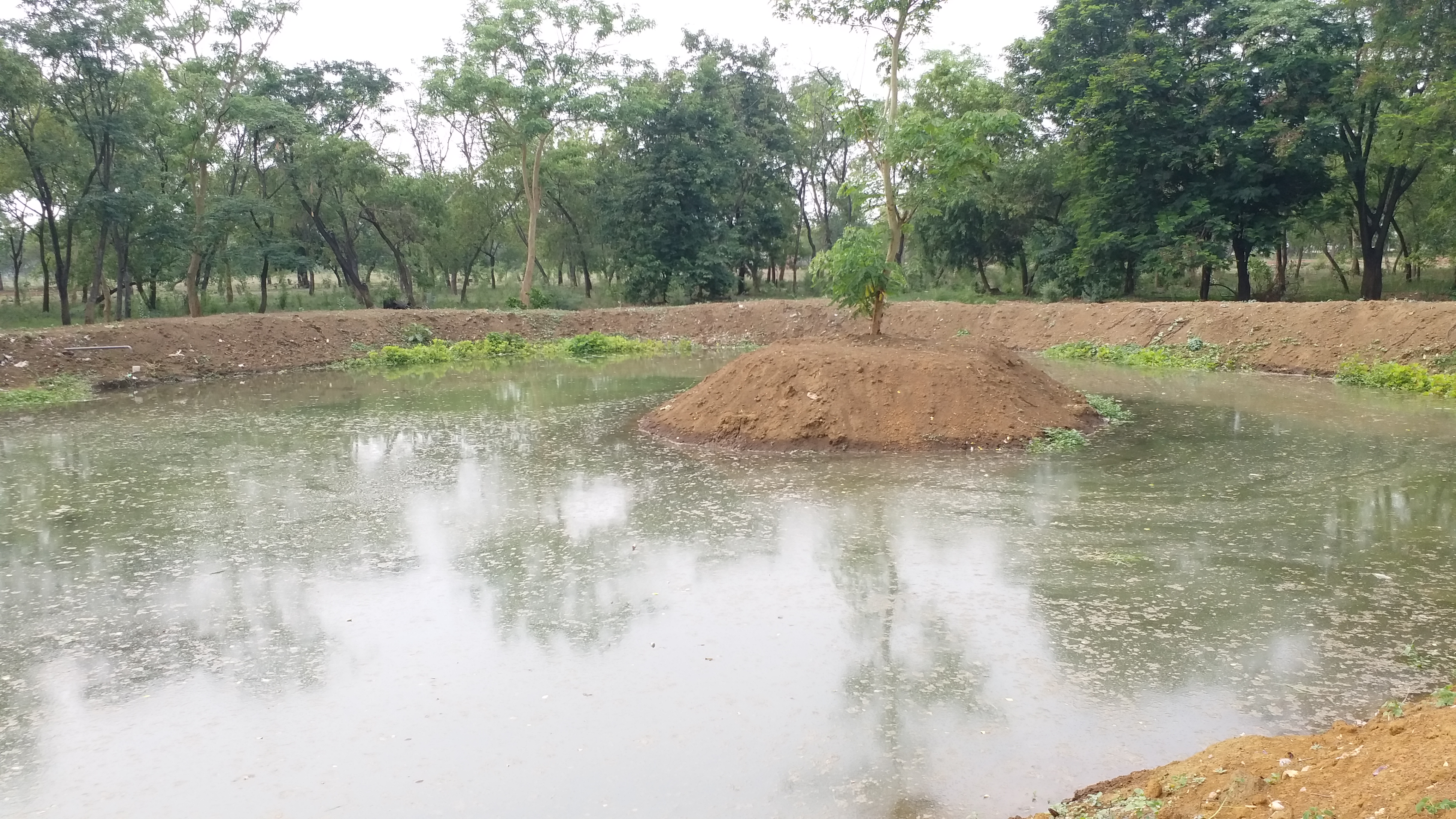 Preparations started to build Biodiversity Park between Bhilai Durg