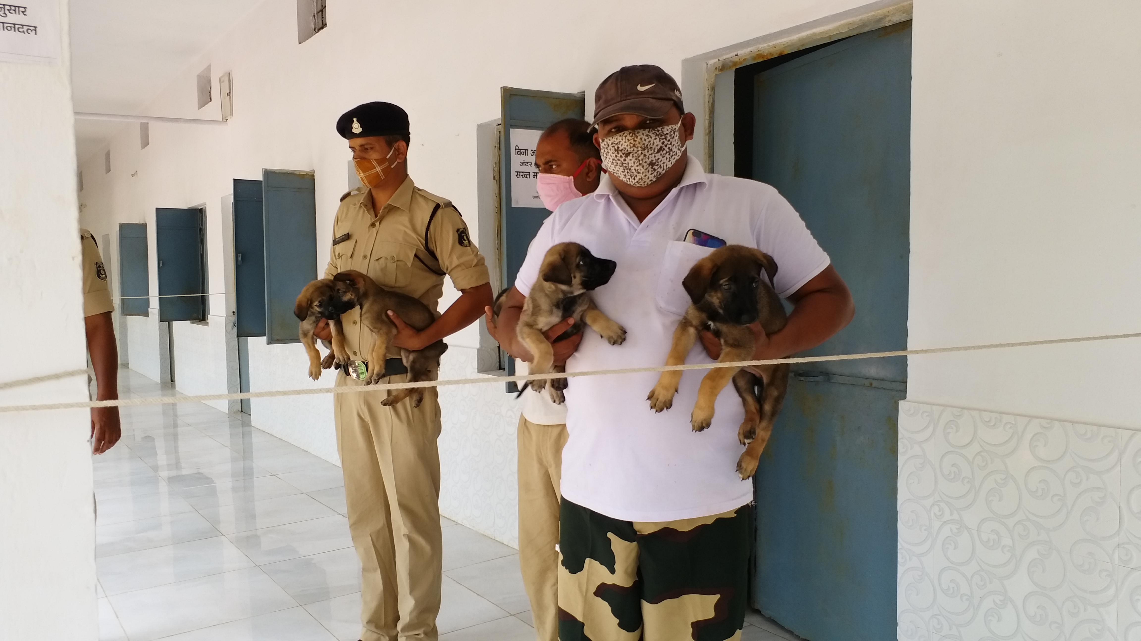 first-time-in-chhattisgarh-narcotics-and-rescue-training-will-be-given-to-dogs-in-durg