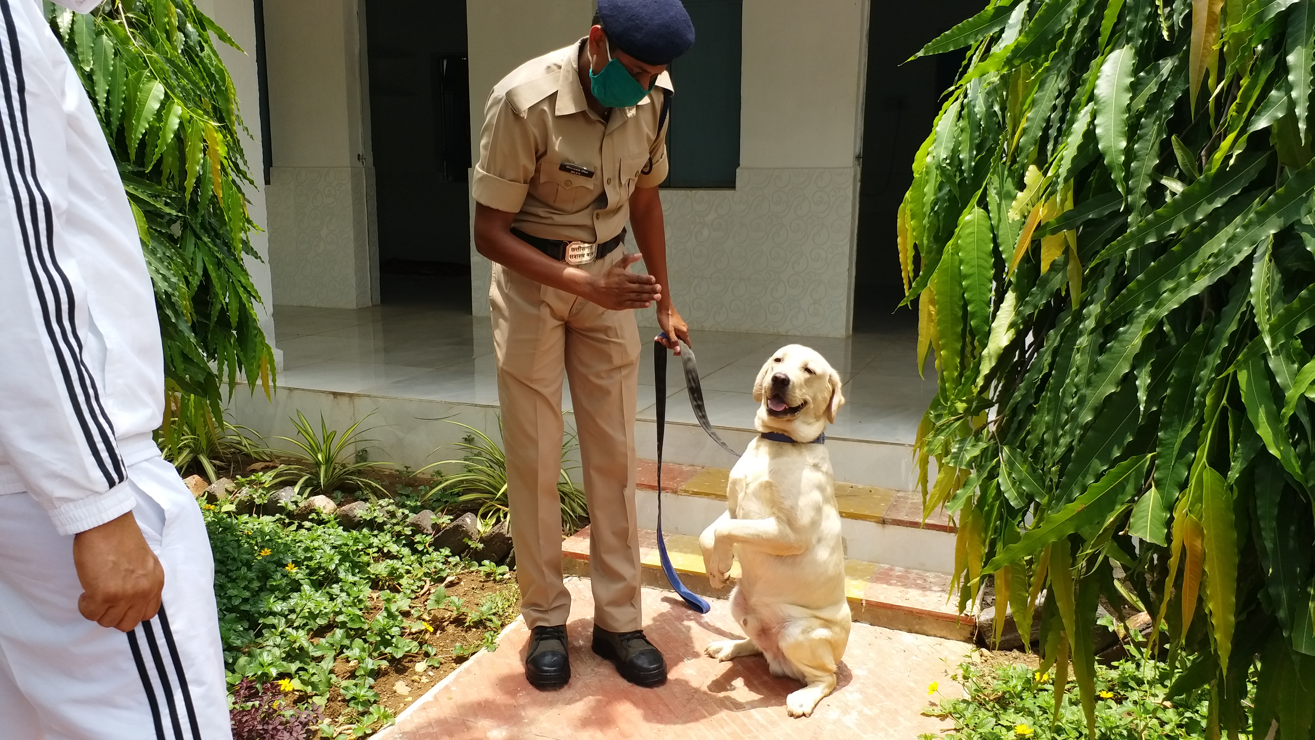 first-time-in-chhattisgarh-narcotics-and-rescue-training-will-be-given-to-dogs-in-durg