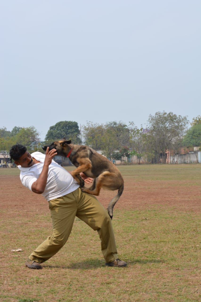 first-time-in-chhattisgarh-narcotics-and-rescue-training-will-be-given-to-dogs-in-durg