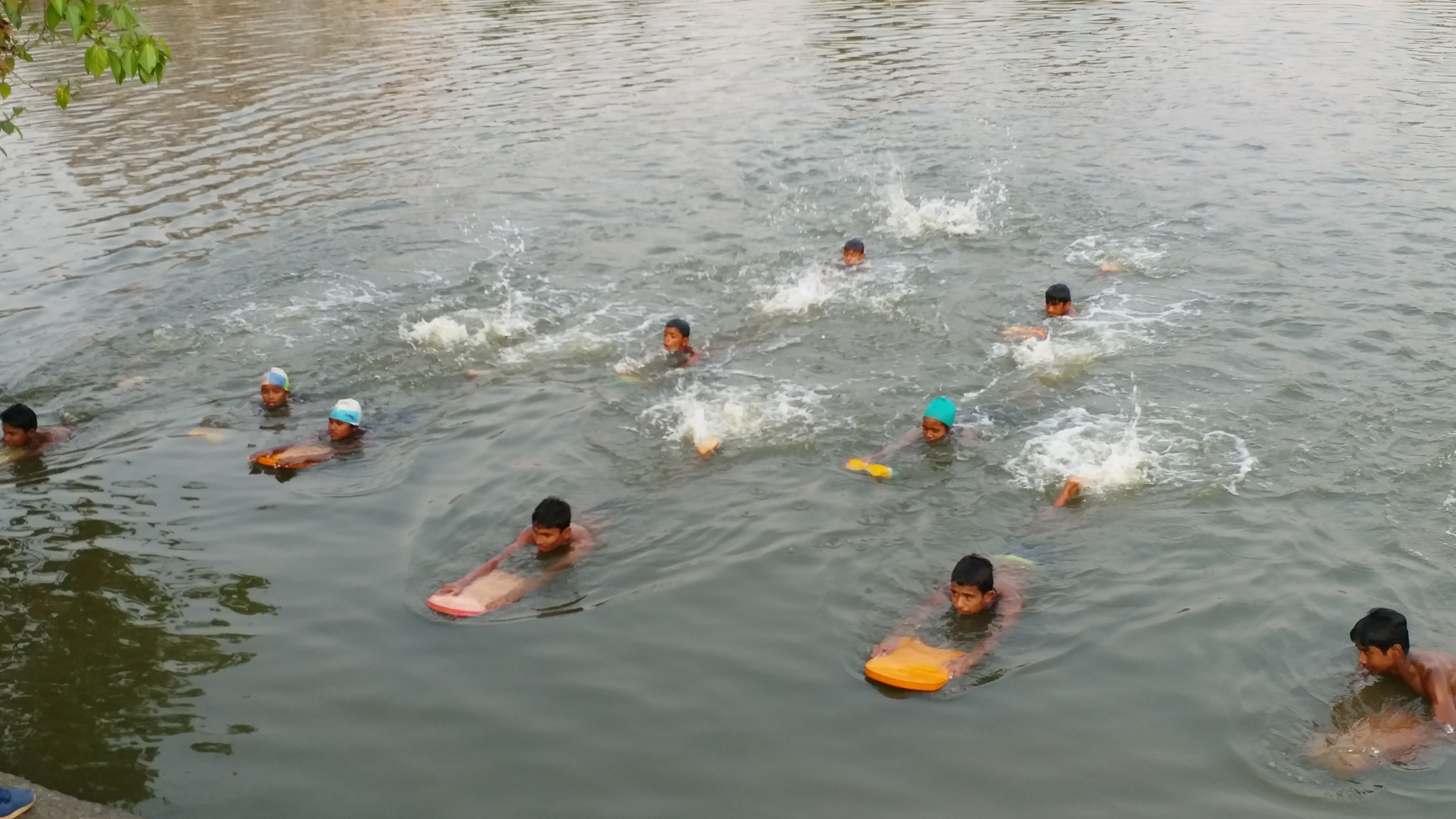 swimming training in a pond