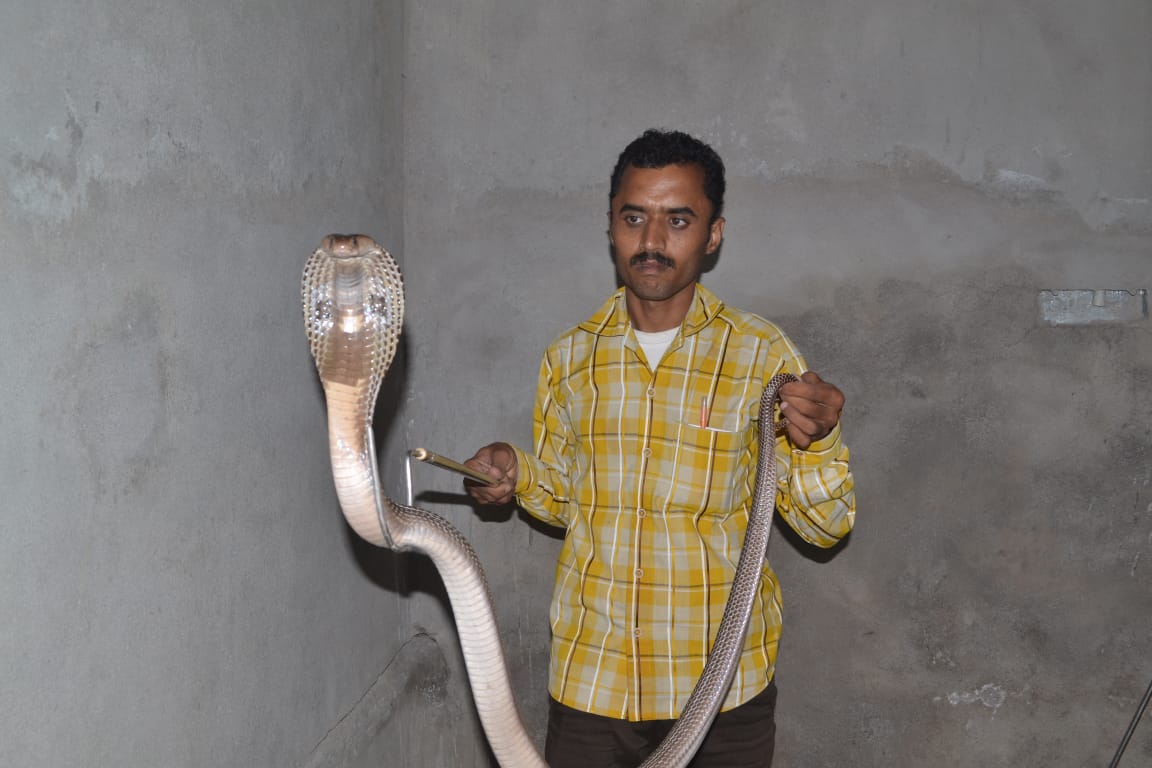 story-of-snake-catcher-ajay-choudhary-of-bhilai
