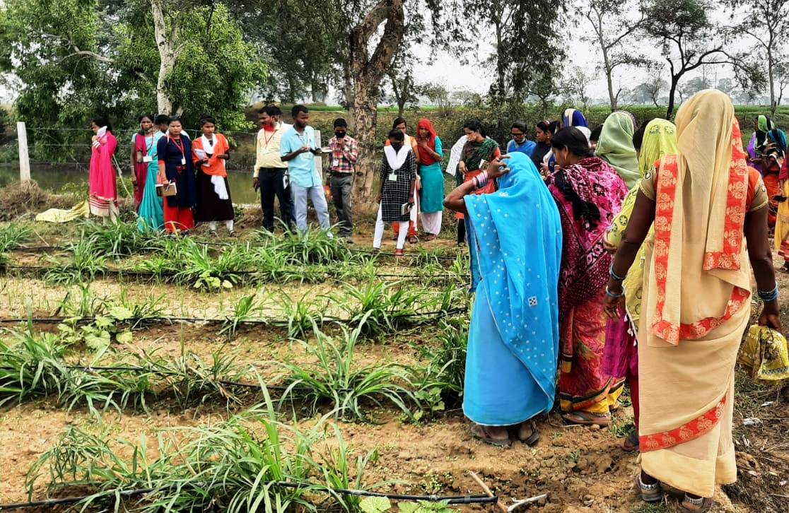 Study tour of Gothan, गौठान समितियों का भ्रमण