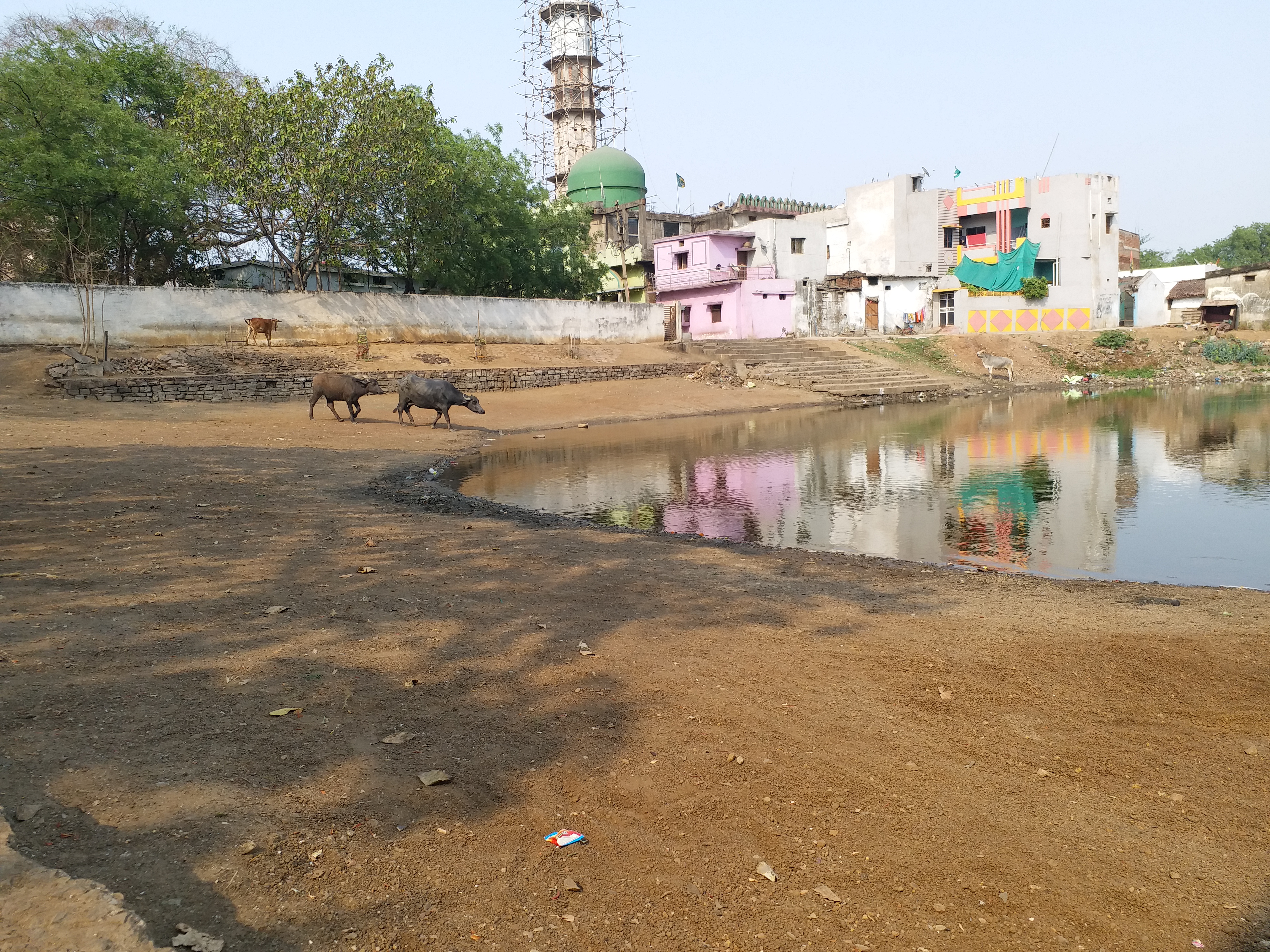 Ponds started drying up in Durg district due to heat