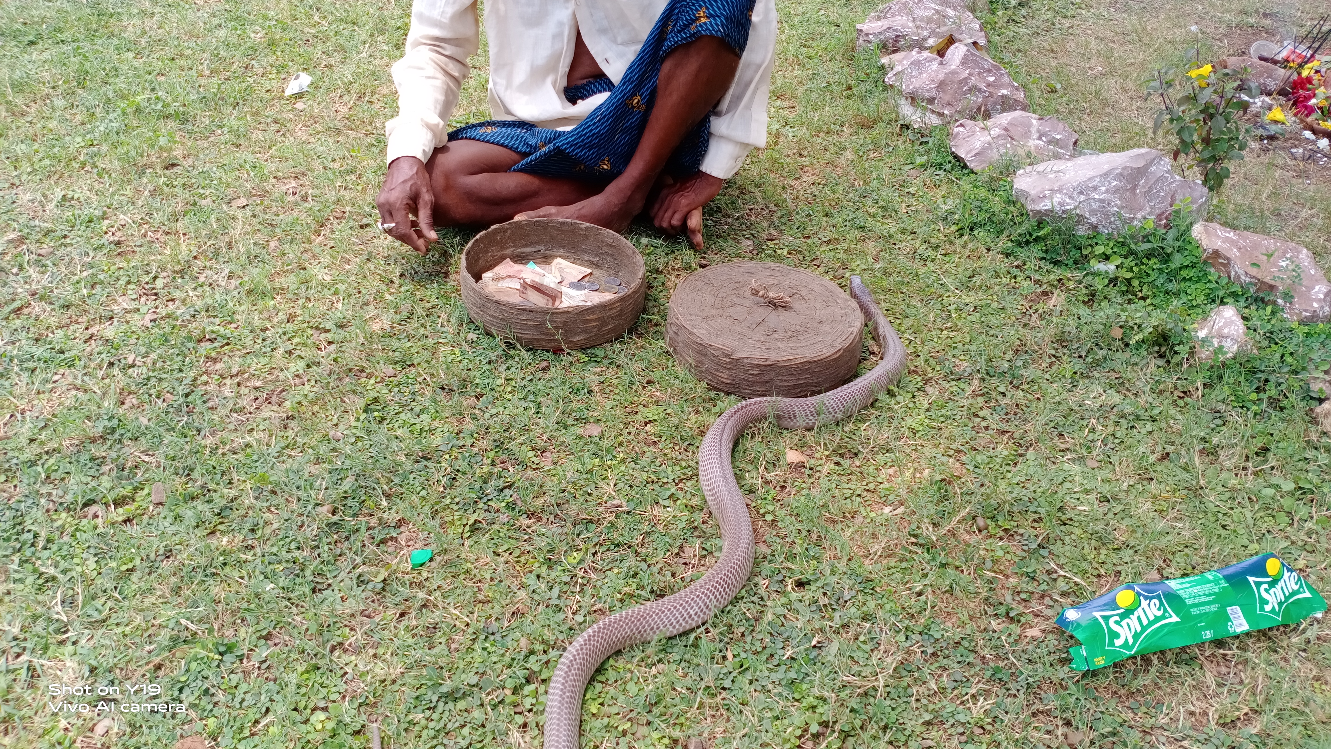 People worshiped snake on Nag Panchami in durg