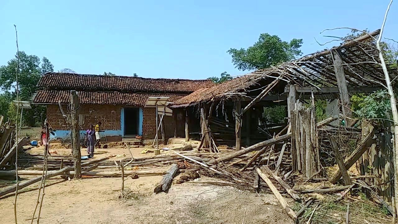 12 elephants broke up houses and thrashed crops in Koylibeda in Gariaband