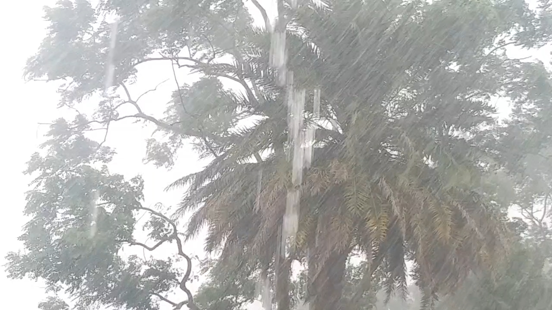 heavy rainfall in gariyaband