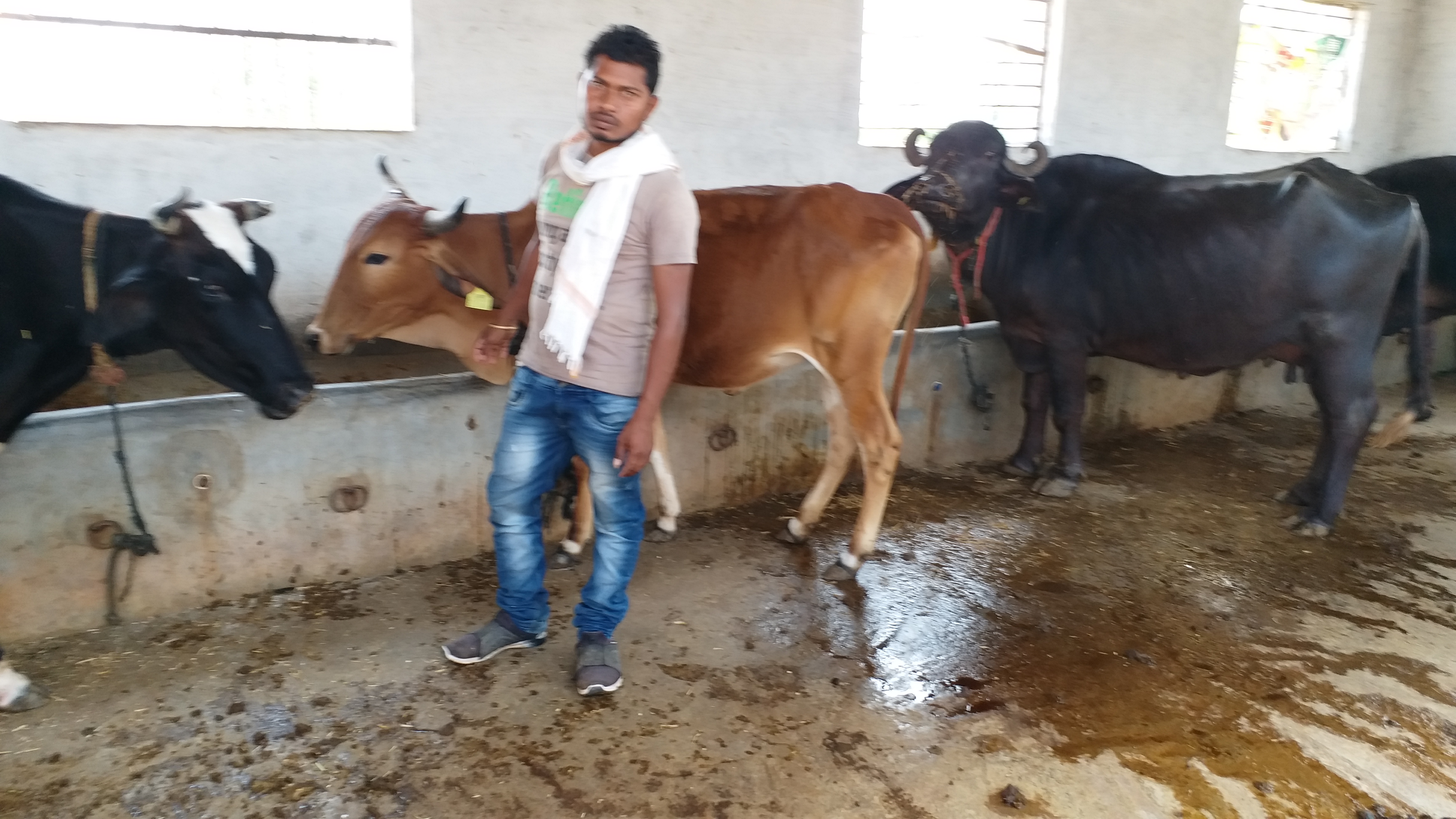 condition of dairy man and farmer during lockdown in gariaband