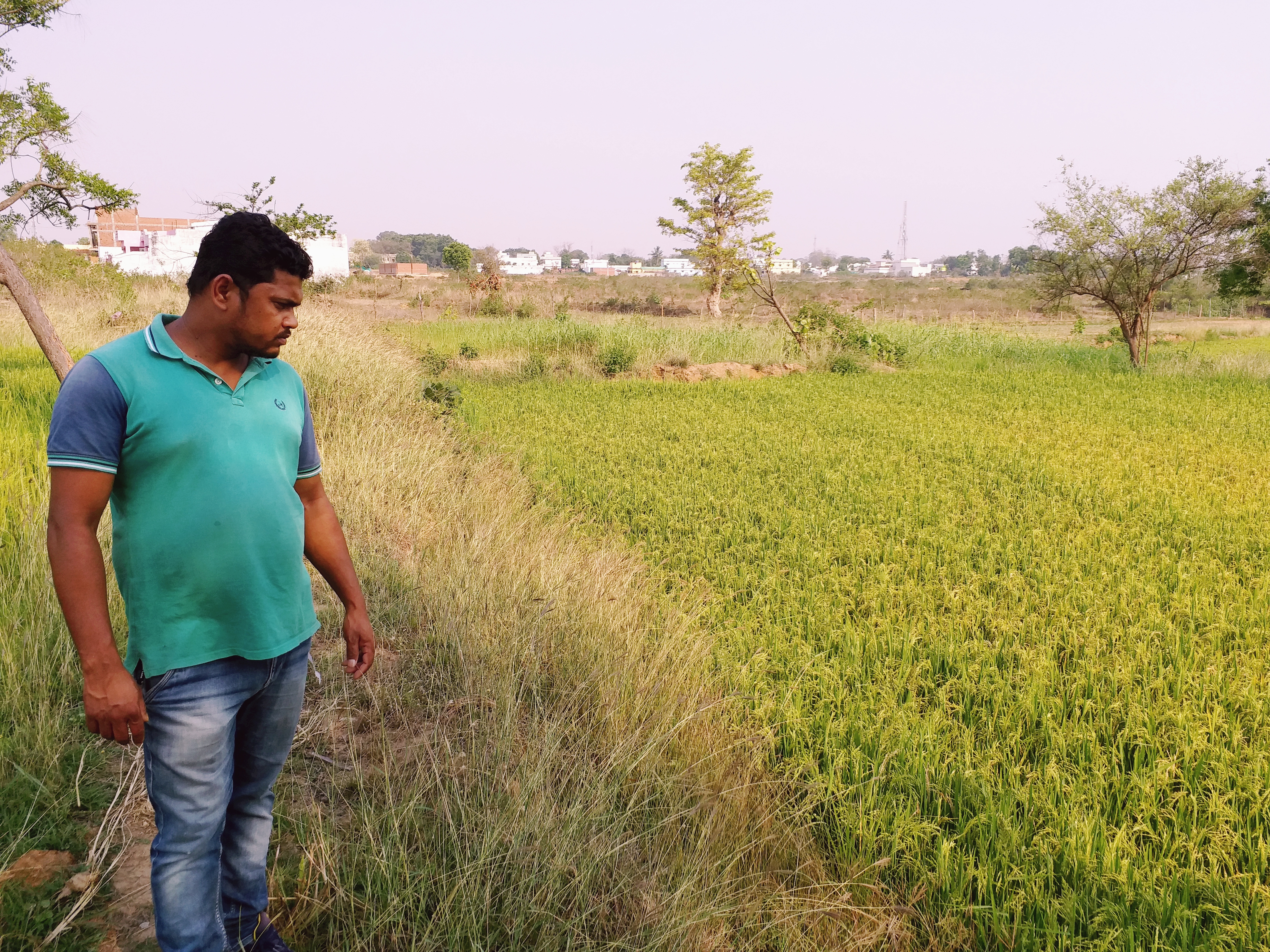 condition of dairy man and farmer during lockdown in gariaband