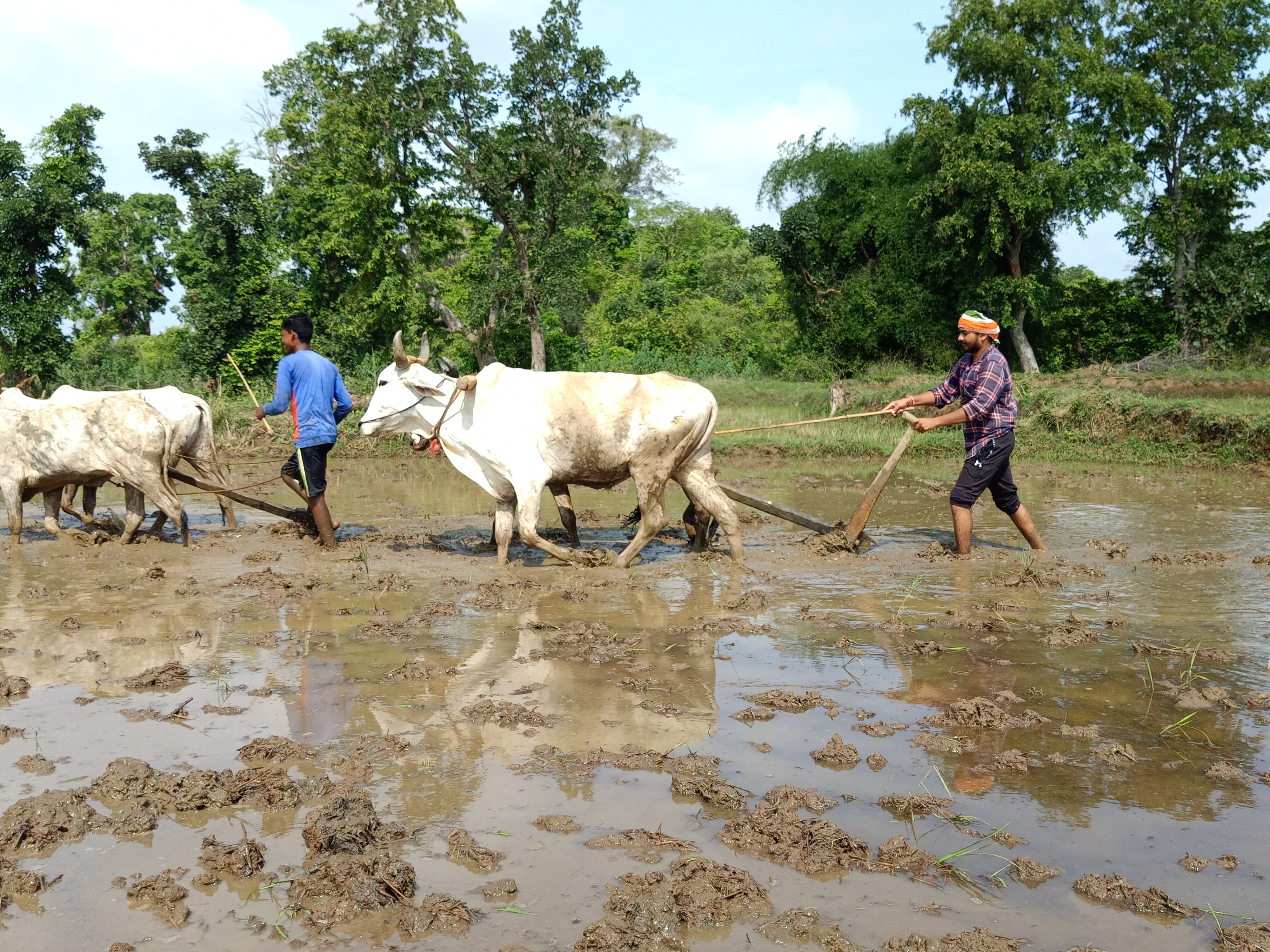 farming started