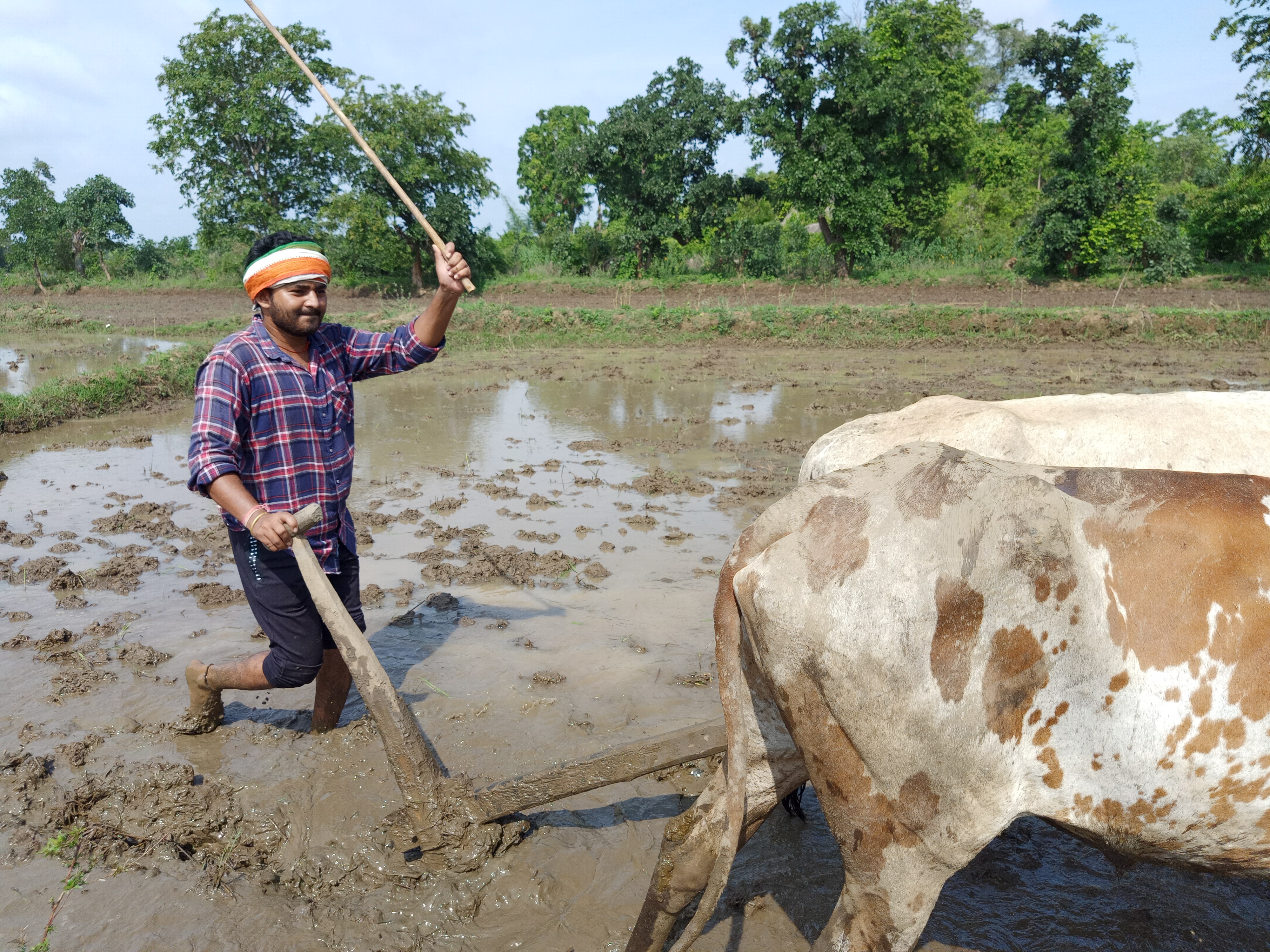 farmer