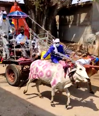 groom-arrives-to-marry-in-a-bullock-cart-amid-lockdown-in-gariaband-district