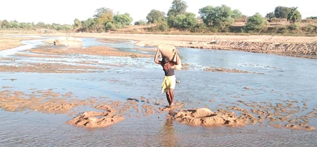 Farmer caught while bringing illegally paddy