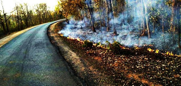 Fire spreading continuously in forests of Udanti Sitanadi Tiger Reserve