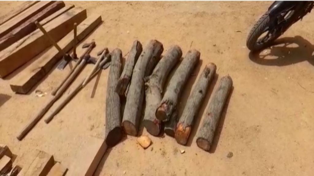 Sandalwood worth twenty lakhs seized in Marwahi